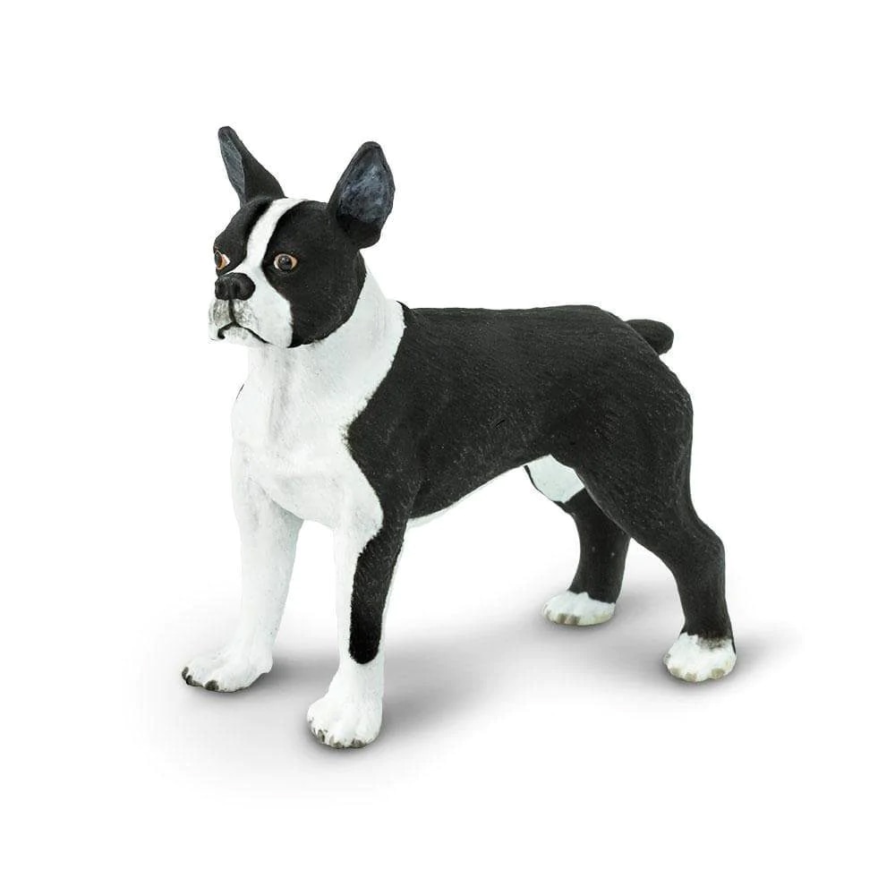 Safari, Toys & Figurines, Gifts, 641207, Boston Terrier